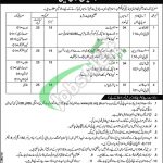 Ministry of Information Technology Jobs