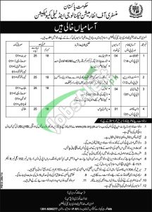 Ministry of Information Technology Jobs