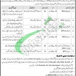 Hajj Directorate Jobs