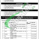 Punjab Model Bazar Jobs