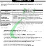 Pak Arab Fertilizer Apprenticeship