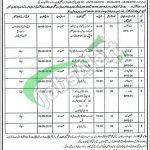 Forest Department Punjab Jobs 