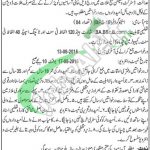 District and Session Court Kalat Jobs