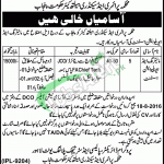 Primary and Secondary Healthcare Department Jobs