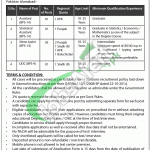 National Council of Social Welfare Jobs 