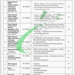 Ministry of Planning Development and Reforms Jobs