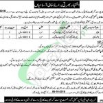 Govt Postgraduate College for Women Jobs