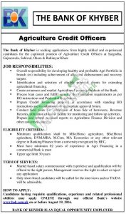 Khyber Bank Jobs