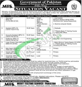 Ministry of Petroleum Jobs