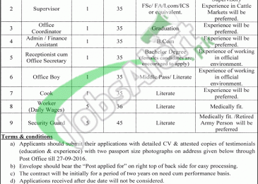 Jobs in Cattle Market Management Company Sahiwal