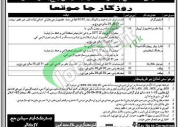 Session Court Larkana Jobs