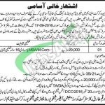 Sheikhupura Cricket Stadium Jobs