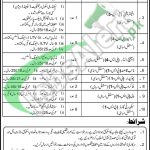 PPSC Jobs