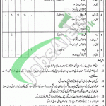 Food Department Bahawalpur Jobs 