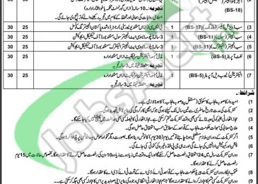 Punjab Institute of Quran and Seerat Studies Lahore Jobs