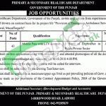 Primary and Secondary Healthcare Department Punjab Jobs