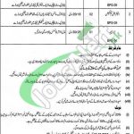 PDMA Jobs