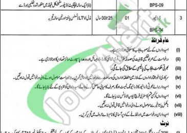 PDMA Jobs