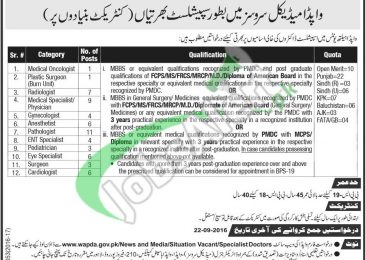 WAPDA Jobs