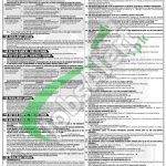 Agriculture University Faisalabad Jobs