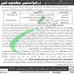 BISE Malakand Jobs