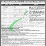 WAPDA Jobs