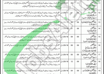 Health Department Mandi Bahauddin Jobs