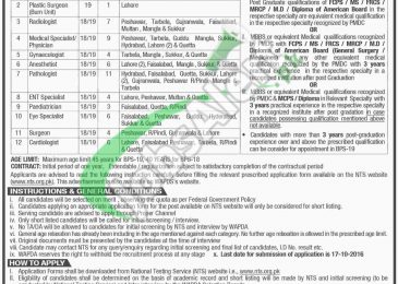 WAPDA Jobs