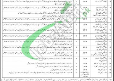 Health Department Gujrat Jobs