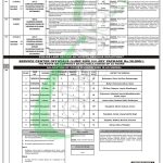 PPSC Jobs