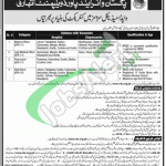 WAPDA Jobs