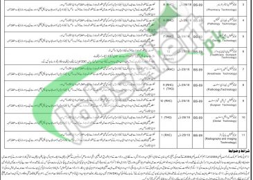 Health Department Rahim Yar Khan Jobs