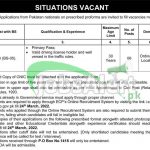 Election Commission Jobs 