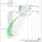 Central Directorate Of National Savings Jobs