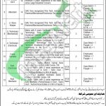 WAPDA Jobs