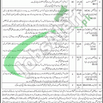 Health Department Sargodha Jobs