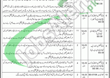 Health Department Sargodha Jobs