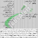 Pano Aqil Cantt Jobs