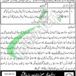 KPK Govt Jobs