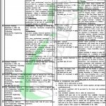 UOT Nowshera Jobs