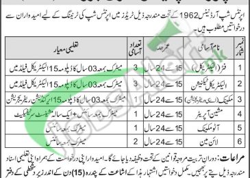 WAPDA Jobs