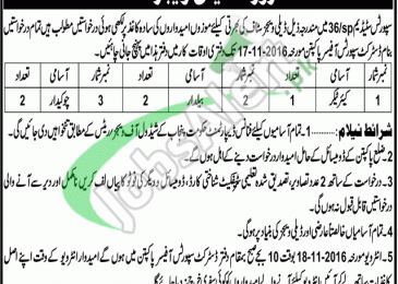 Sports Department Jobs