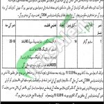 Livestock Department Punjab Jobs