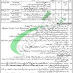 WAPDA Jobs