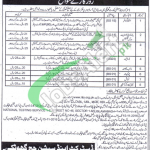 Session Court Ghotki Jobs