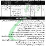 Government of Punjab Jobs