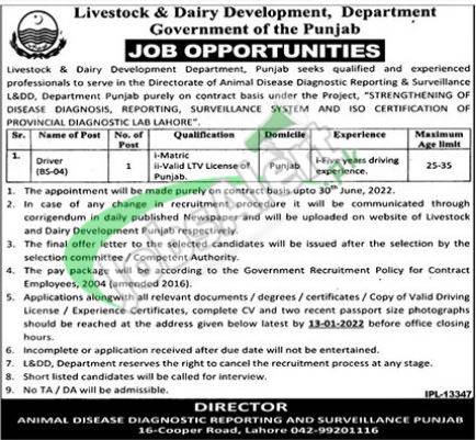 Livestock & Dairy Development Department Punjab Jobs