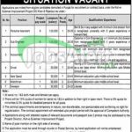 Planning and Development Department Punjab Jobs