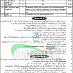District Health Officer Kohistan Lower Jobs