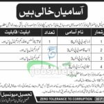 TMA Lower Kurram Jobs 
